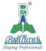 Brilliant Professional Academy